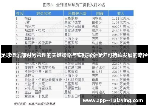 足球俱乐部财务管理的关键策略与实践探索促进可持续发展的路径 足球俱乐部财务管理的关键策略与实践探索促进可持续发展的路径